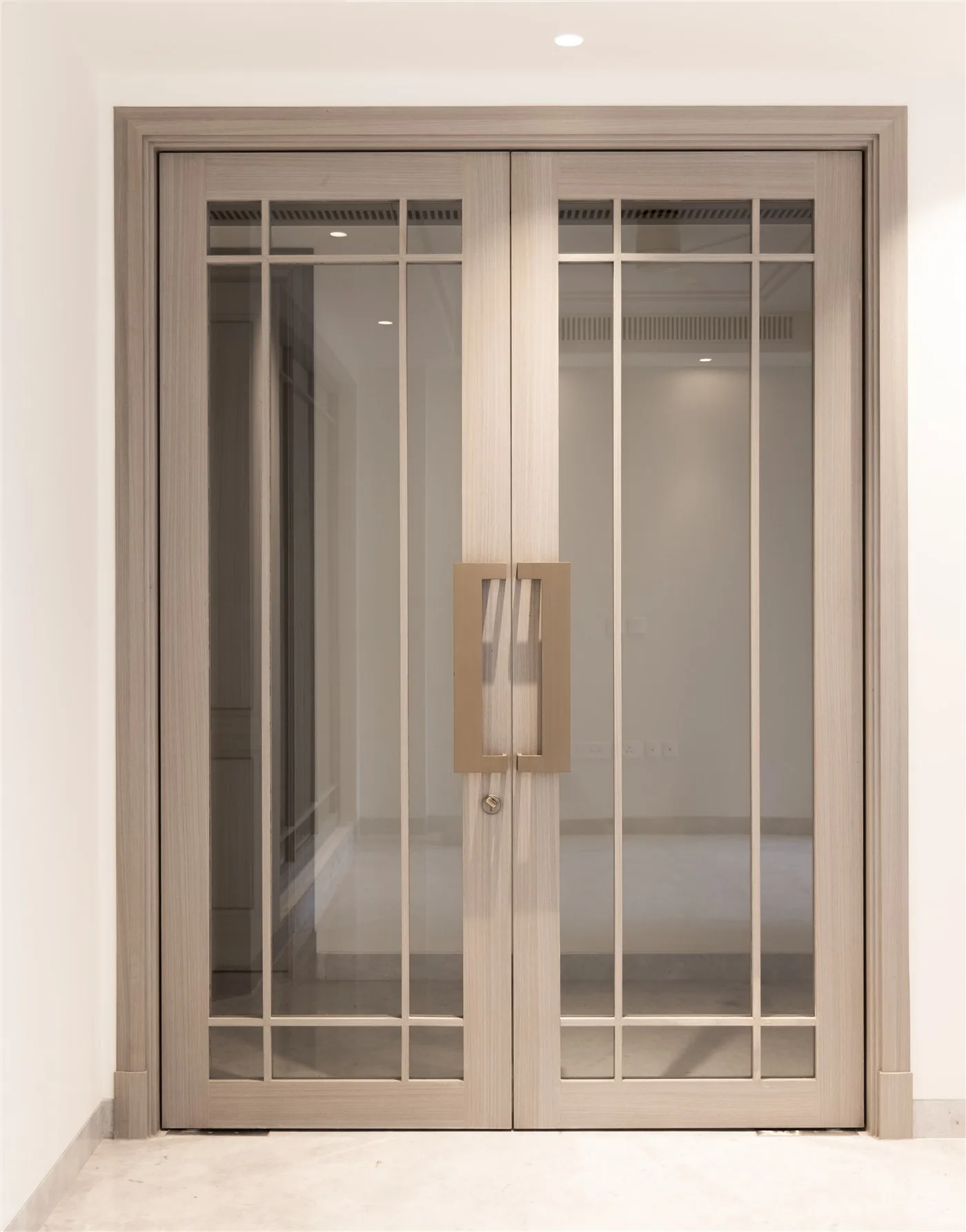 Glazed double doors with brass handle — E-10/8 Vasant Vihar